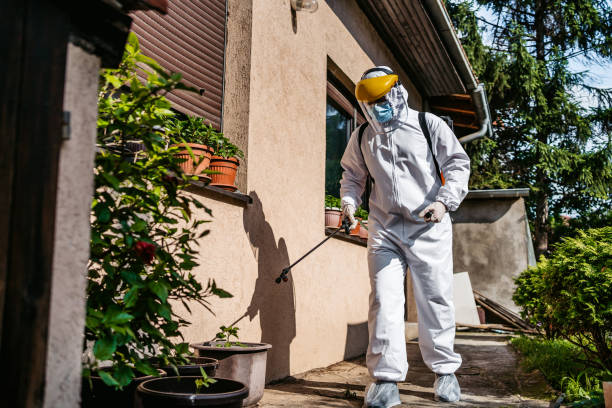 Best Emergency Pest Control  in Lincoln, IL