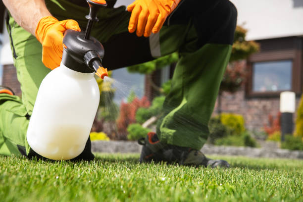Best Spider Control Near Me  in Lincoln, IL