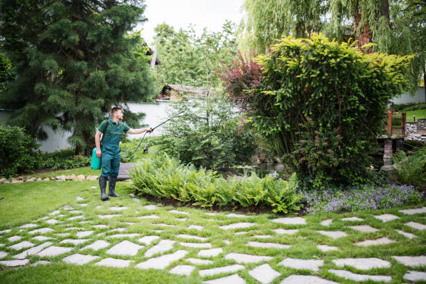 Reliable Lincoln, IL Pest Control Solutions