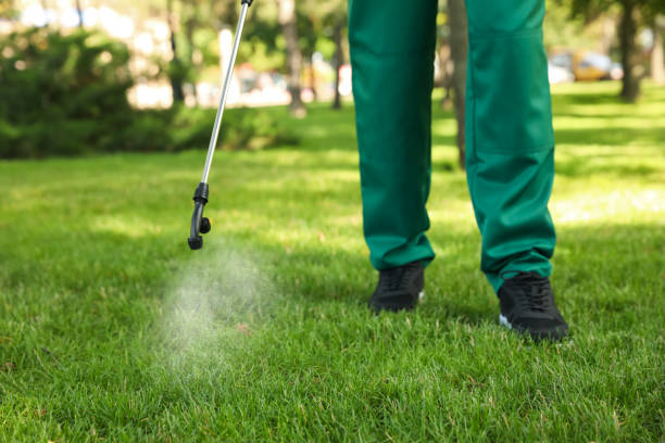  Lincoln, IL Pest Control Pros