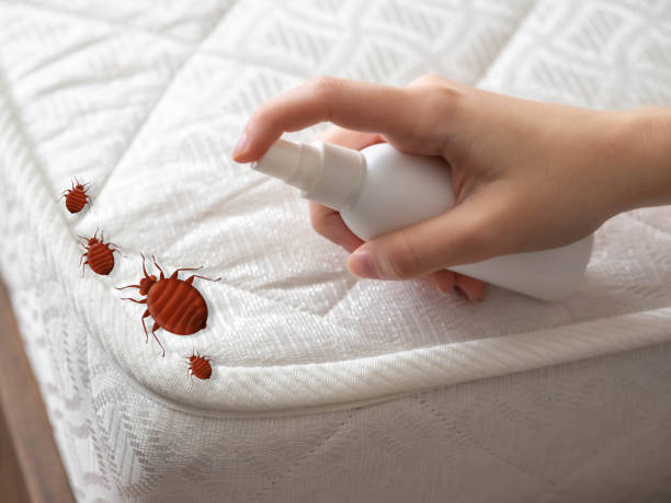 Best Affordable Pest Control Services  in Lincoln, IL
