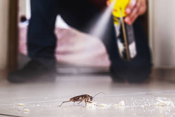 Best Pest Control Near Me  in Lincoln, IL