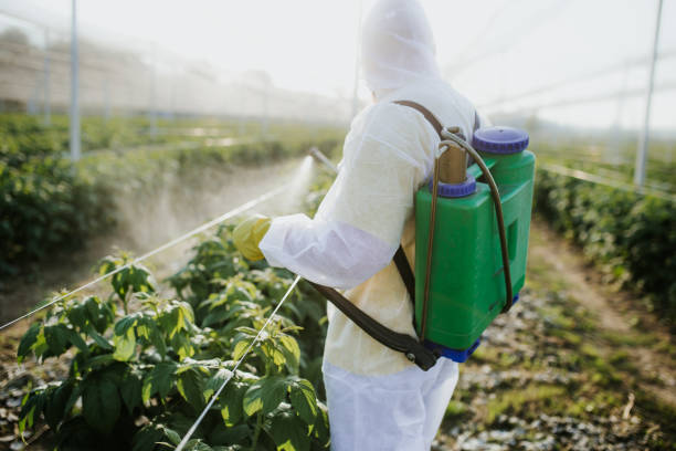 Best Insect Control  in Lincoln, IL
